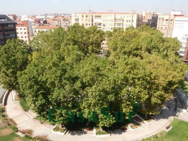 Piso Venta Valladolid Capital, Circular Vadillos