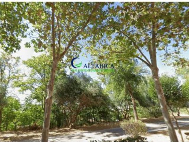 Piso Venta Velilla de San Antonio, Velilla de San Antonio