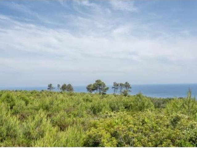 Piso Venta Xàbia Jávea, La Corona Aduanas