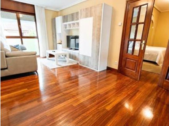 Piso Venta Zalla, Mimétiz