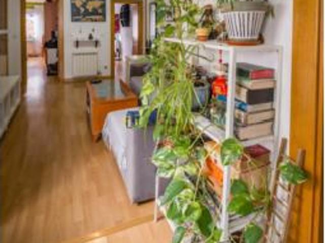 Piso Venta Zaragoza Capital, Delicias