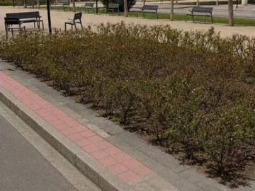 Piso Venta Zaragoza Capital, Montecanal Valdespartera Rosales del Canal