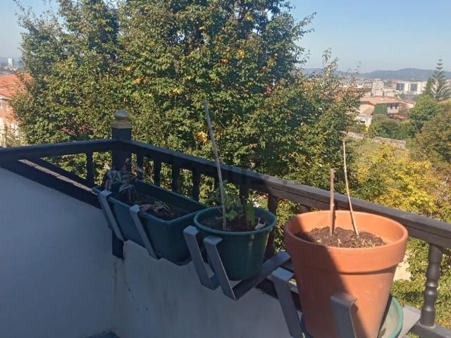 Piso, Vigo