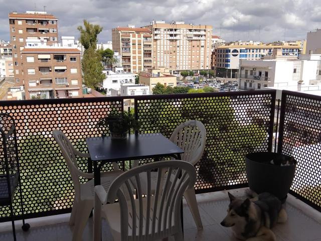 Piso, Vinarós