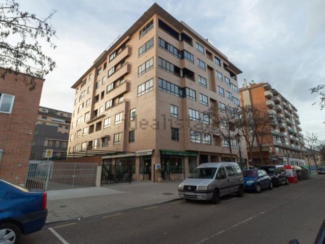 Piso, Zamora
