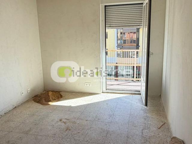 Piso, Zamora