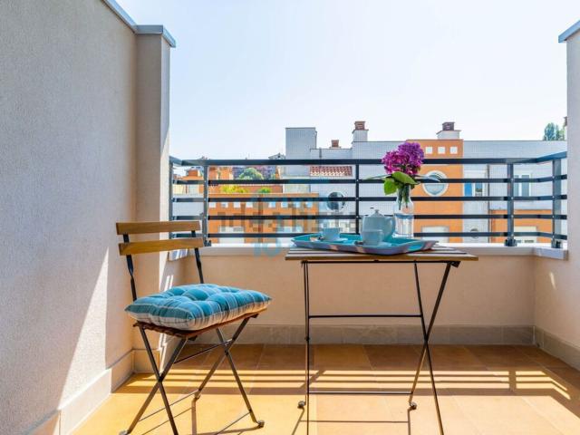 Piso, Zona Anoeta, Donostia San Sebastián