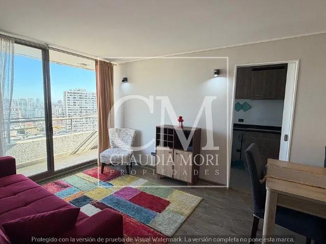 Piso 17, amoblado, 2d+2b, 2norte oriente, viña del mar