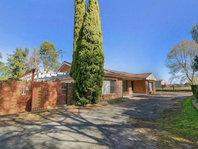 Pitt Town, 22 Hall Street