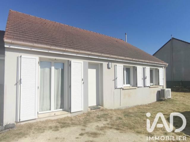 Pithiviers Vente Maison 45
