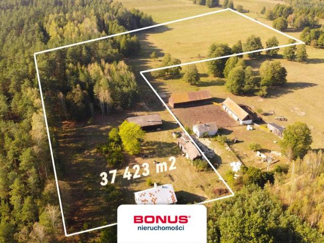 Klasyczne siedlisko 160 m2 na 3,74 ha z lasem i możliwością rozbudowy