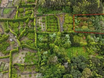 Pomar localizado na zona dos Biscoitos, Ilha Terceira, com características ideais para utilização agrícola