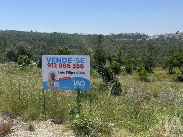 Pombal Leiria 103492628