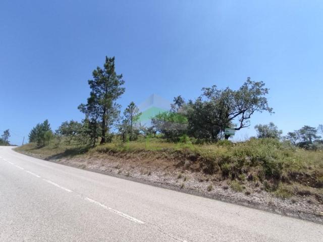 Pombal Pombal 97120255