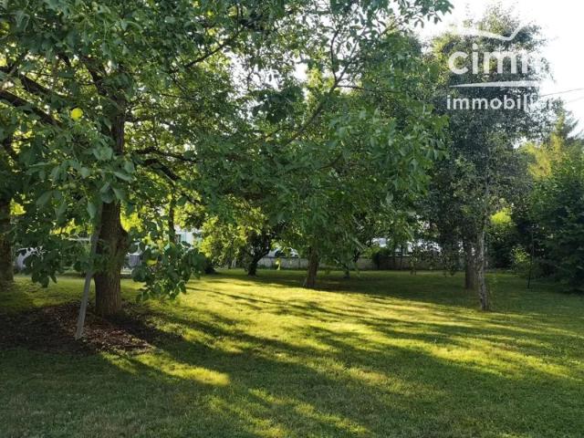 POMMEUSE – LE TRONCHET – Briarde de caractère rénovée – 160 m² – Jardin paysager d’exception