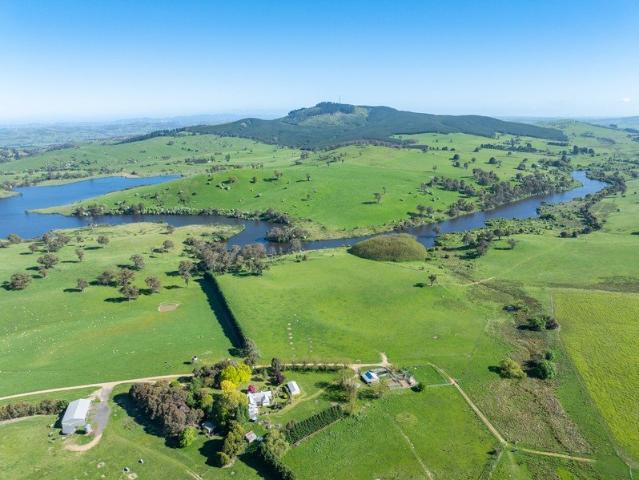 'Pomona' | Trophy Central Tablelands Grazing