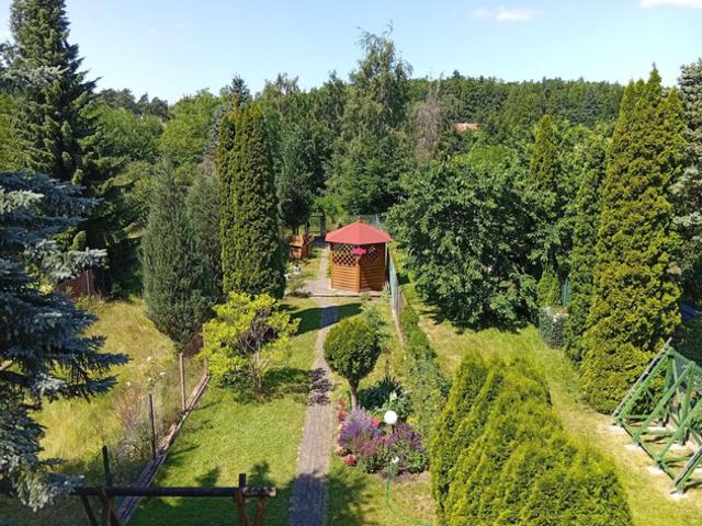 Pomorskie, Gdańsk, Piecki Migowo, Profesora Mariana Raciborskiego