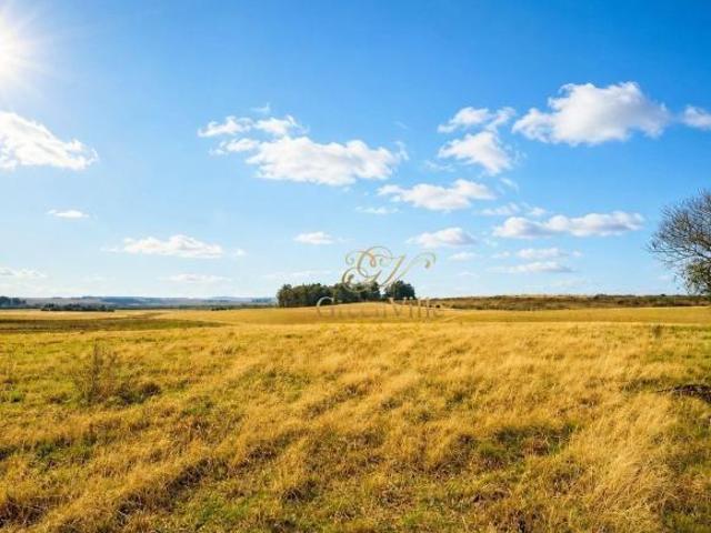 Ponta Grossa/ Palmeira, LEITARIA, 39 hectares 16 alqueires