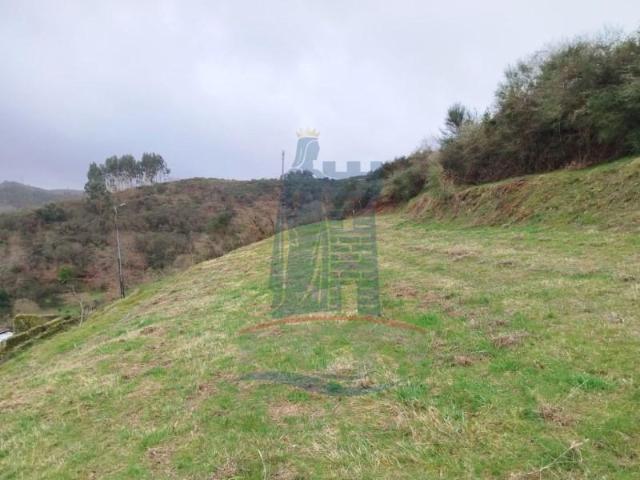Ponte da Barca Ponte da Barca LS99271942