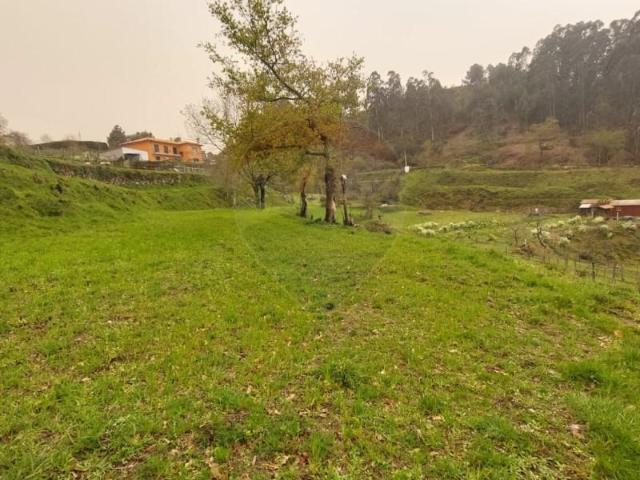 Ponte da Barca Ponte da Barca 105802096