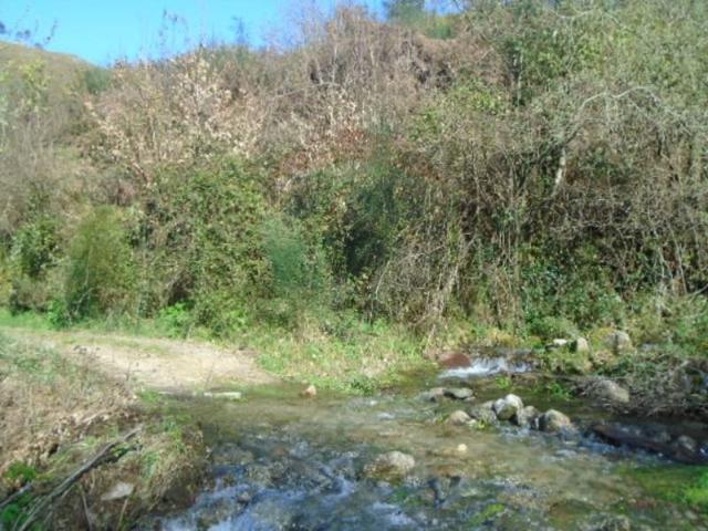 Ponte da Barca Ponte da Barca 105802097