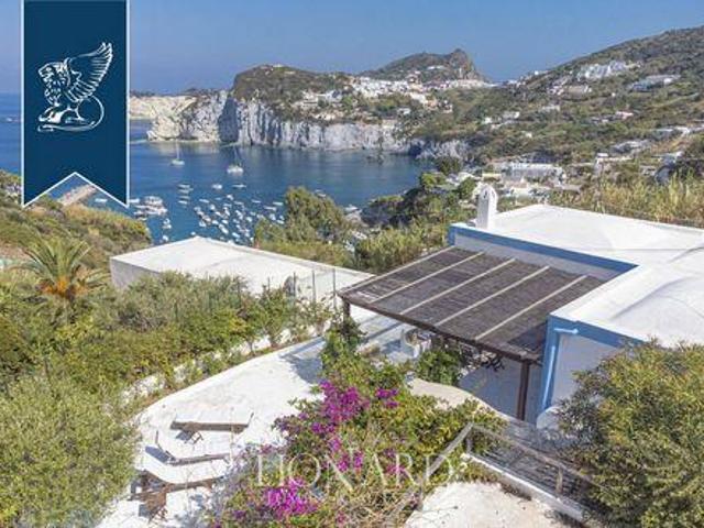 Ponza Latina 97104896