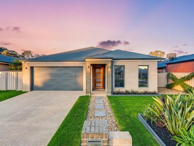 Pool, Shed, Solar & 4 Car Accomodation The Ultimate Thurgoona Package