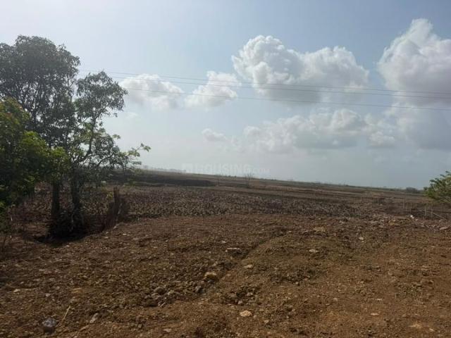 Poonyabhumi Plot In Prikon,Pirkone Residential Plot For Sale Navi Mumbai