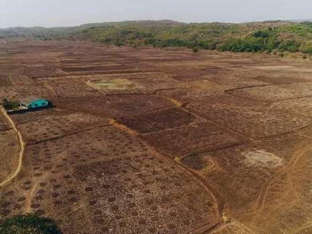 Poonyabhumi Plot In Vindhane,Vindhane Residential Plot For Sale Navi Mumbai