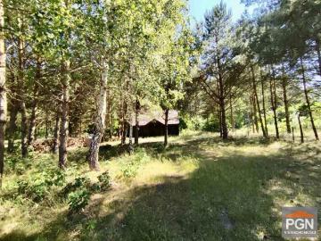 Uroczy drewniany domek 90 m2 z lasem i działką 1941 m2
