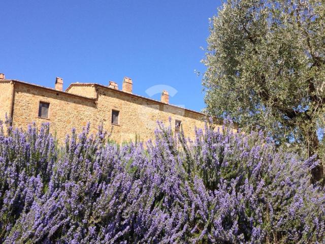 Podere Petronio 845m² Trequanda