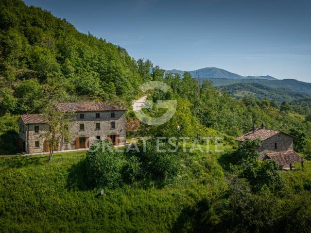 Podere Pietralunga 511m² Pietralunga