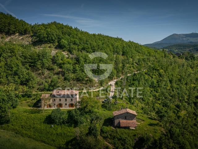 Podere Pietralunga 511m² Pietralunga