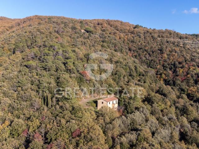 Podere Pulcinella 204m² Tuoro sul Trasimeno