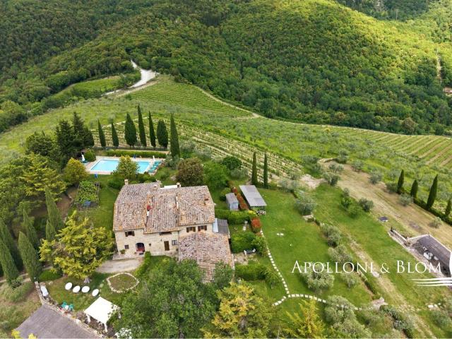 Poggio dell’Eremo: Fattoria Biologica con vista mozzafiato. 243m² Castellina in Chianti