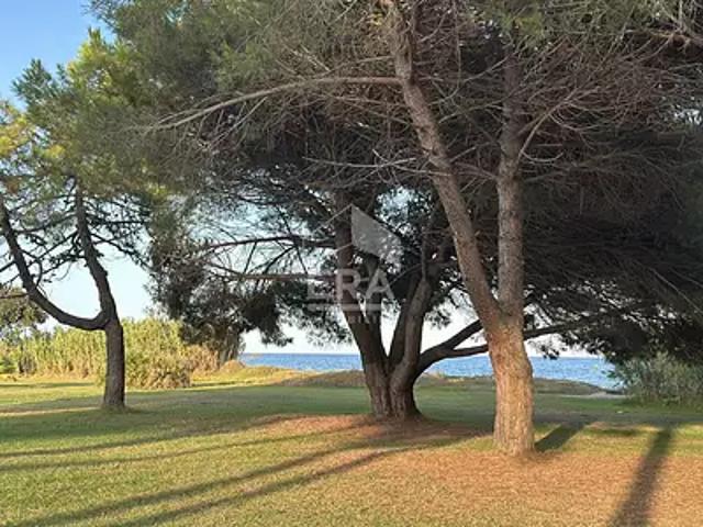 Poggio Mezzana 20230 Achat / Vente appartement 2 pièces t2 piscine