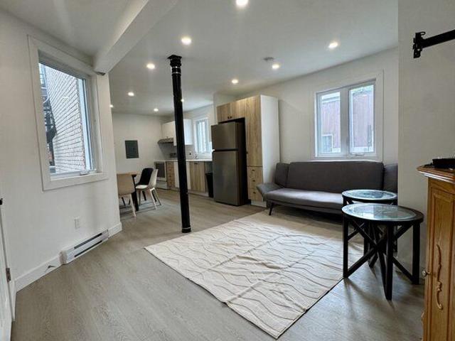 Pointe St Charles Nice 5 1/2 Furnished