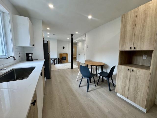 Pointe St Charles Nice 5 1/2 Furnished