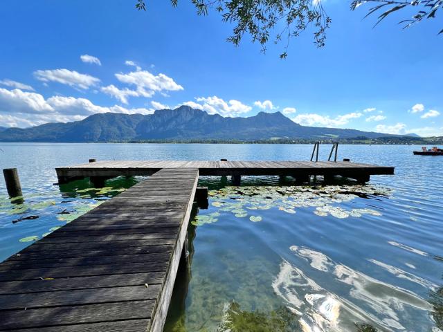 Pole Position Mondsee! Ein Zuhause mit Panoramablick und Badeplatz samt Steg