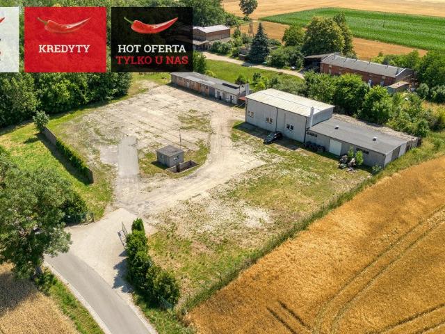 Obiekt produkcyjno magazynowy 730 m² w Młodocinie