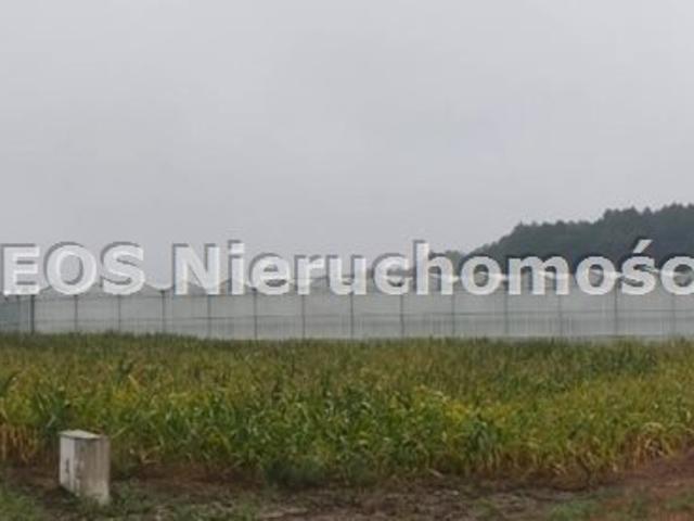 Polecam działki i budynki 25 632 m² w Zamętach
