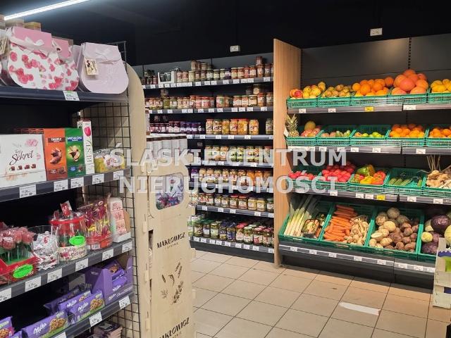 Polecam dochodową nieruchomość 1375 m² w Mysłowicach