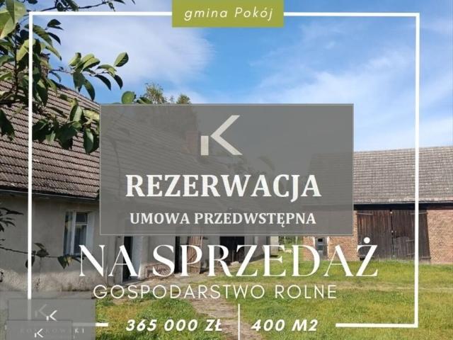 Polecam gospodarstwo rolne 400 m² z dużą działką 3,76 ha w Namysłowie