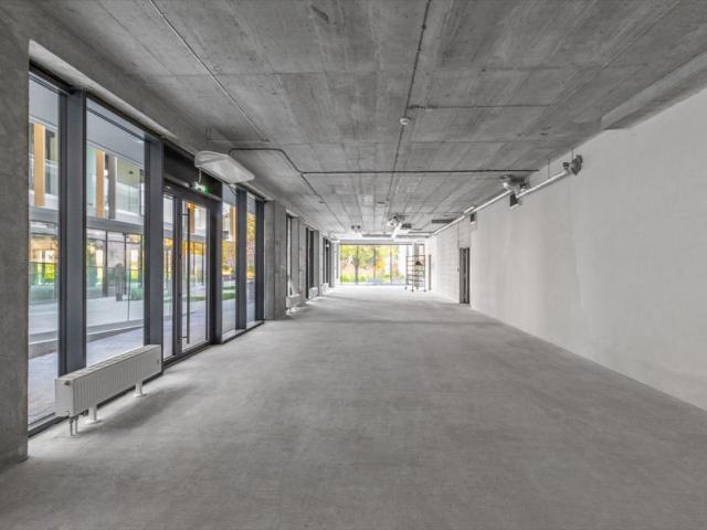 Polecam przestronny lokal 180 m² w Lublinie Śródmieście