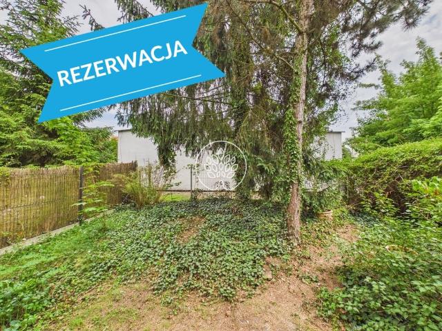Polecam przestronne 3 pokoje z ogródkiem po remoncie, piwnicą