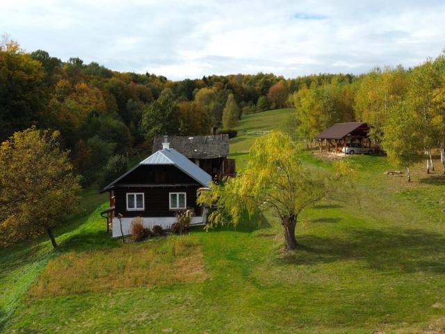 Polecam urokliwy dom 70 m² z lasem na 30 ar. Idealny dla miłośników natury