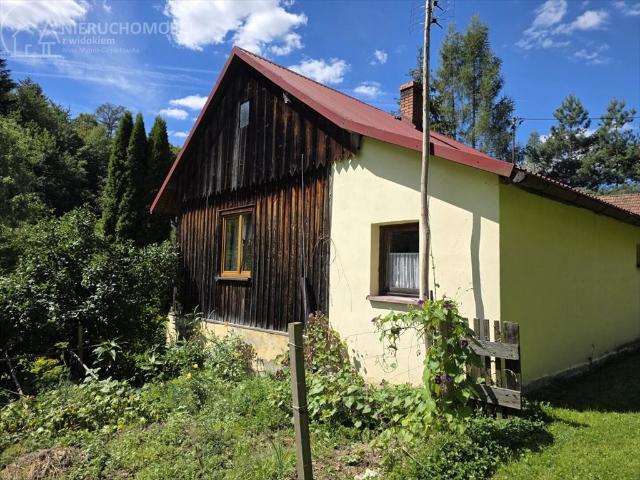 Polecam urokliwe siedlisko 80 m² z widokiem na las w Tursku