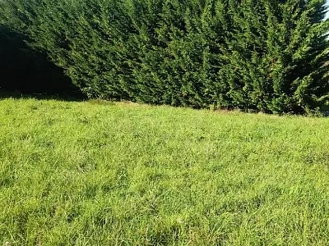 Polliat 01310 Programme neuf maison neuf à vendre 7 pièces