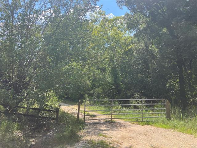 Poplar Springs Trl