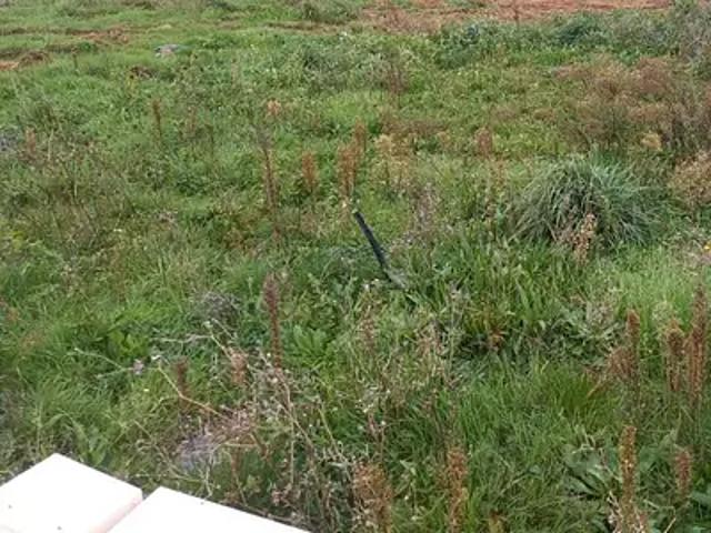 Port Saint Père 44710 Programme neuf maison neuf à vendre 2 pièces